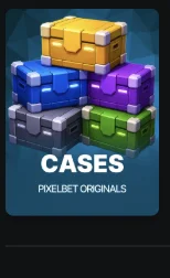Cases